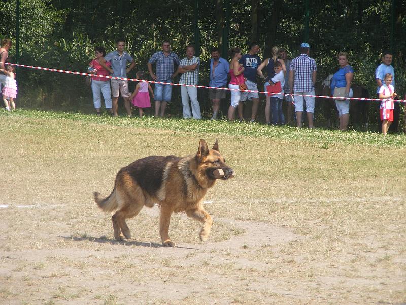 01.07.12r. FESTYN 121